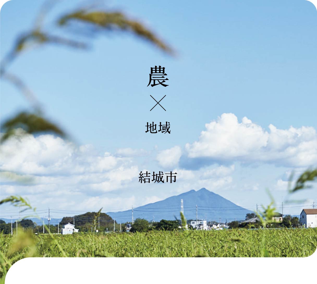 宮崎協業 MIYAZAKIKYOUGYOU